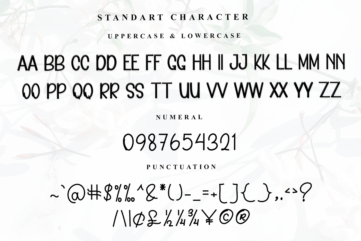 Boho Home, a Sans Serif Font by InermediaSTUDIO (Photo 5 of 7)