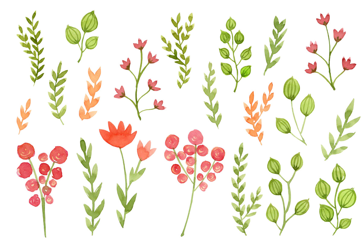 Watercolor Flowers, Floral, an Illustration by swiejko (Photo 2 of 2)