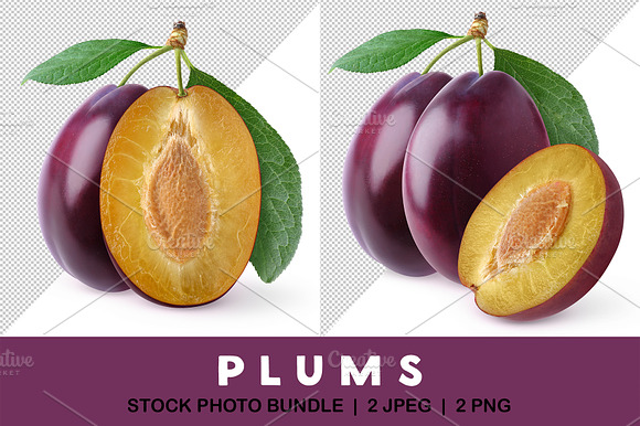 Cut plumes with stems and leaves preview 5