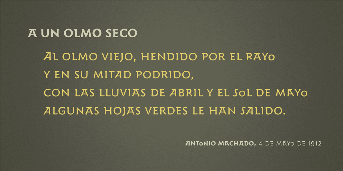 Harri Display, a Font by Blancoletters (Photo 9 of 11)