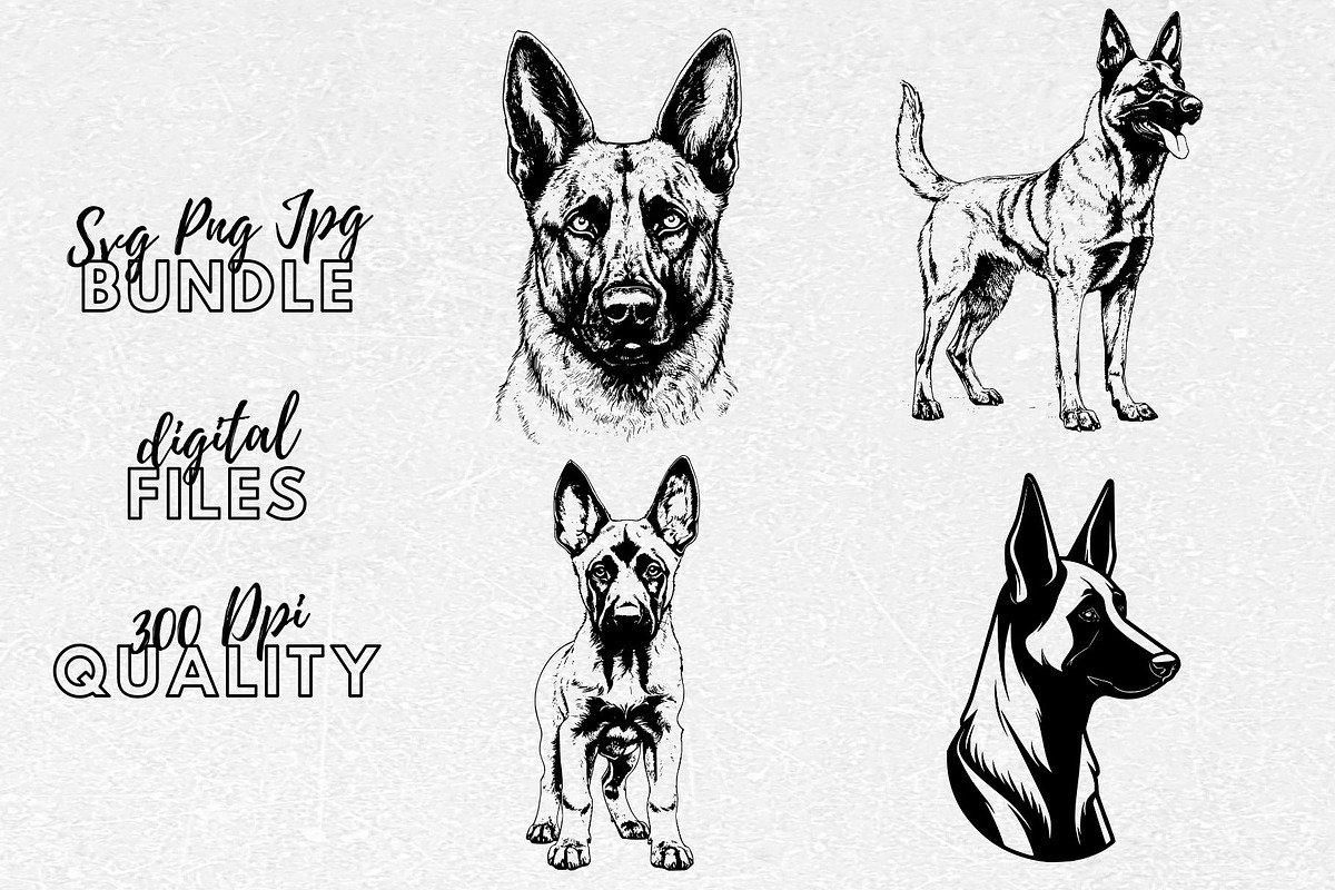 Belgian Malinois SVG - Dog Clip Art, an Illustration by YouniqueArtwork (Photo 1 of 5)