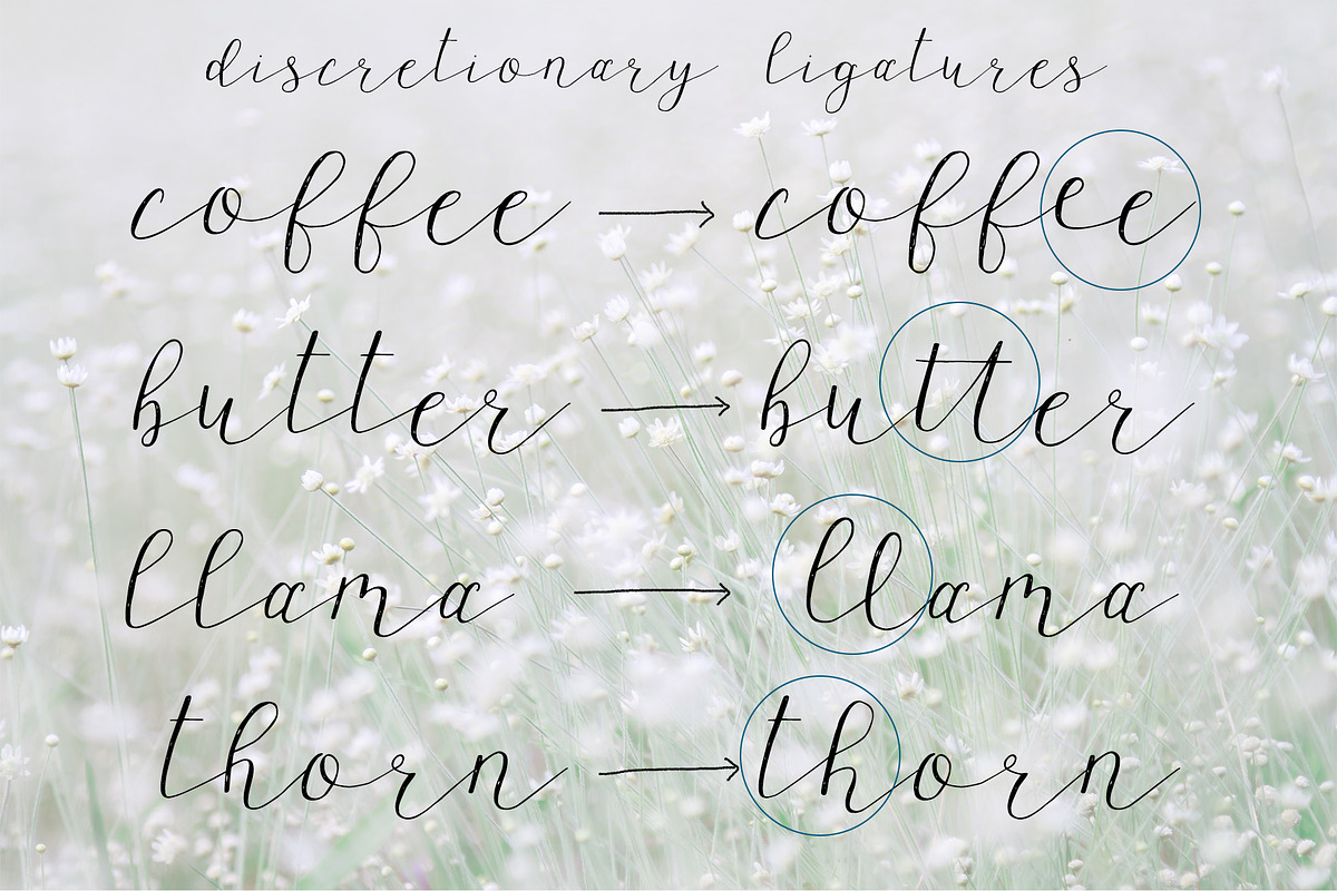 Wagon wheel Script Font, a Script Font by Kellie Jayne Studio