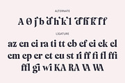 Mazaeni - Bold Serif 5 Font Family, a Serif Font by Kereatype (Thumbnail 16 of 16)