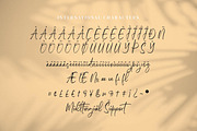 Micqallena, a Script Font by Integritype Studio (Thumbnail 10 of 15)