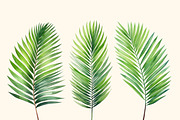 Tropical leaves patterns and element, a Decorative Illustration by irina.vaneeva (Thumbnail 9 of 11)