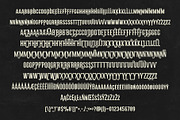 Hotel Imperial Font, a Serif Font by Graphicdome (Thumbnail 10 of 12)