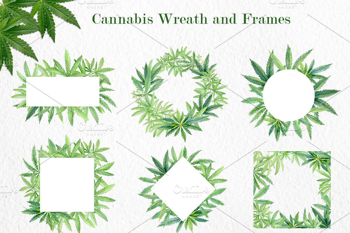 Cannabis watercolor set, an Illustration by svetodesign (Photo 5 of 8)