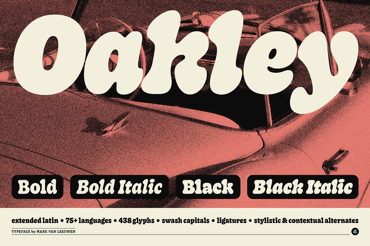 Oakley Typeface, a Serif Font by Mark van Leeuwen (Photo 1 of 10)