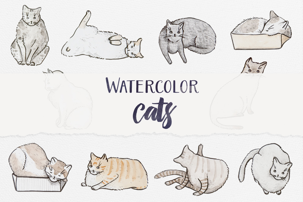 Watercolor Cats, a Graphic by Petite Salade (Photo 1 of 3)