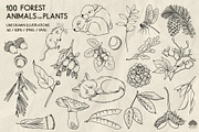 Forest Life Line Art + Procreate, an Object Illustration by Skliarova (Thumbnail 4 of 6)