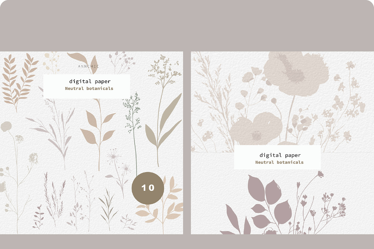 Neutral Botanical Backgrounds, a Background Graphic by Anna Sokol (Photo 4 of 10)