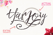 Harmony King - Brush Font, a Script Font by Cruzine (Thumbnail 6 of 8)