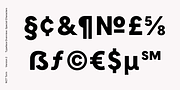 NCT Torin 2, a Sans Serif Font by NCT (Thumbnail 8 of 9)