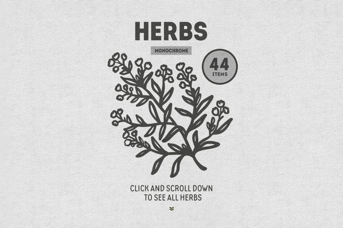 Herbs Collection, a Food Illustration by Chelovector (Photo 3 of 4)