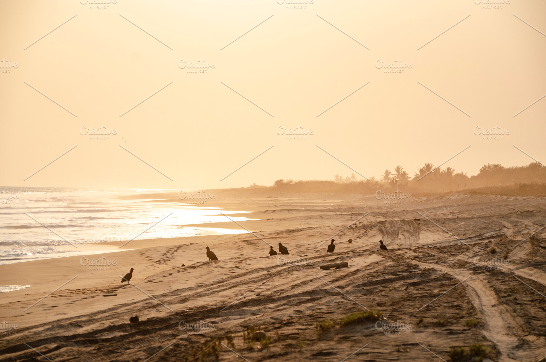 Golden hour at the beach, a Nature Photo by MUSTERIUM