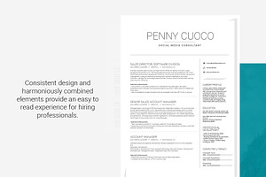 Resume Template Volantis B