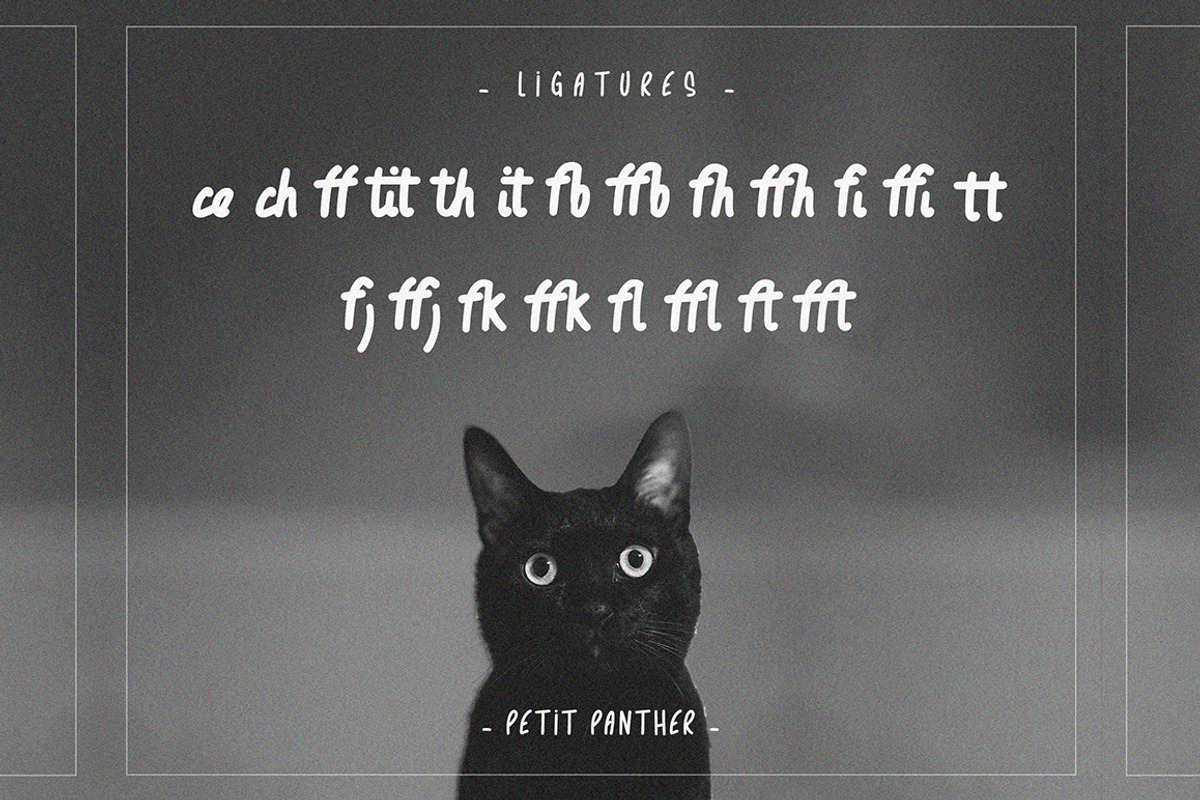 Petit Panther typeface - handwritten preview 3