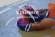 Animal Kingdom Photo Pack V1 preview 3