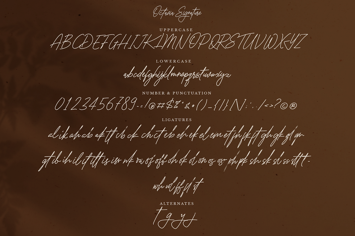 Octavia Signature Business Font