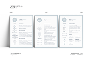 Creative And Professional Resume