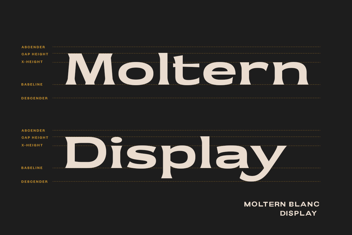 Moltern Blanc - Vintage Display Fon, a Sans Serif Font by Letterhend Studio (Photo 4 of 9)