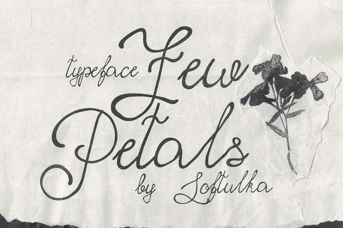 Few Petals. Dreamy Script Typeface, a Script Font by softulka (Photo 1 of 7)