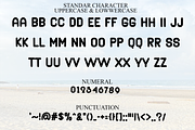 Stylish Angela, a Handwritten Font by FreshTypeINK (Thumbnail 6 of 8)