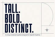Polaris Condensed, a Slab Serif Font by Wow Magic (Thumbnail 3 of 3)