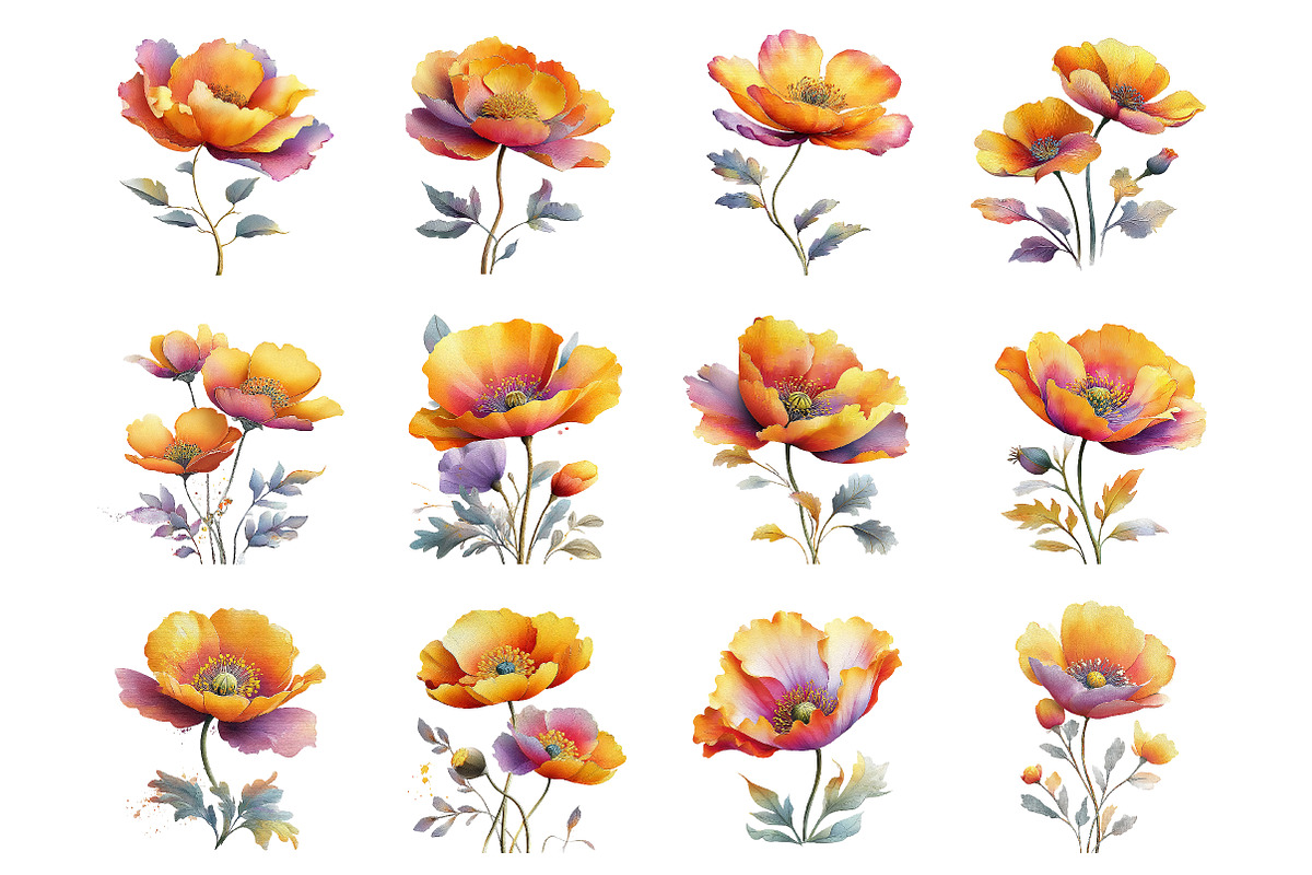 Whimsical spring poppy flowers Png, an Illustration by SinaCreation (Photo 2 of 11)