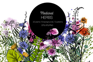 Watercolor medicinal herbs