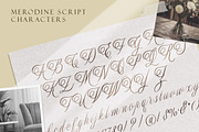 Merodine Script -, a Script Font by Letterhend Studio (Thumbnail 8 of 9)