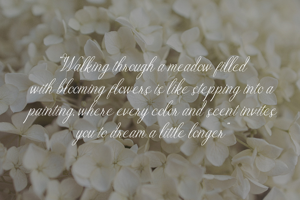 Montalina - Modern Script font, a Script Font by Rishsketch (Photo 4 of 13)