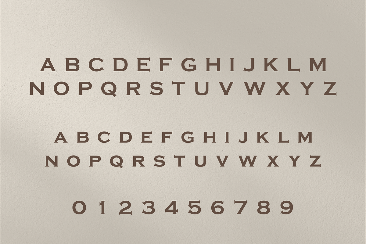 Sanir Retro Serif Font, a Serif Font by Creative Foundry (Photo 6 of 8)