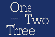 CS Collagen Mix, a Serif Font by Craft Supply Co. (Thumbnail 3 of 8)