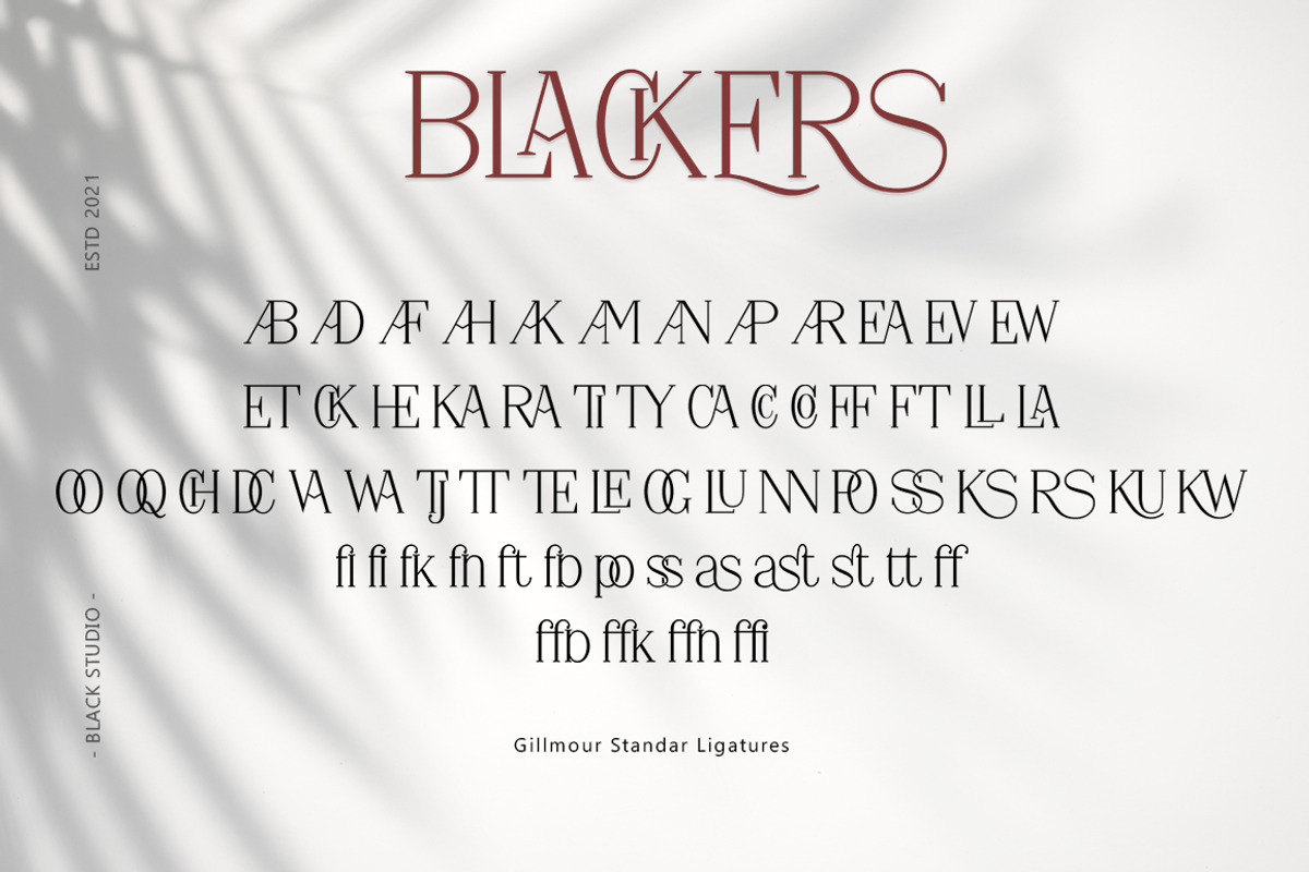 Blackers, a Serif Font by Black Studio (Photo 6 of 8)