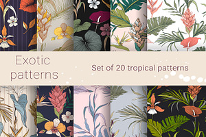 Exotic Vector Patterns