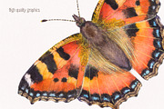 Watercolor butterflies, an Illustration by Green_leaf_17 (Thumbnail 6 of 6)