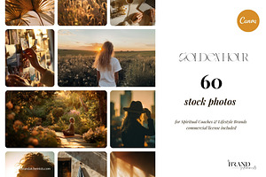 Golden Hour Stock Images