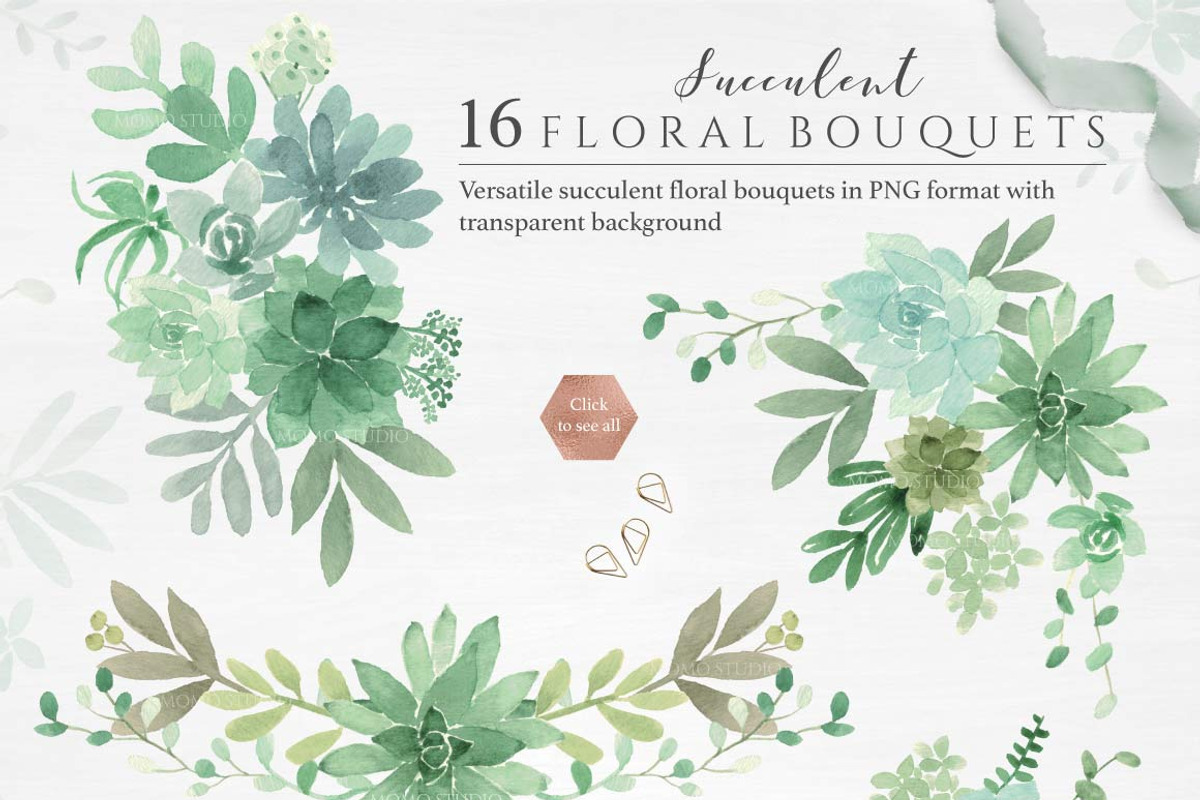 Botanist II - Airplants & Succulents, a Texture Illustration by Momo Studio (Photo 14 of 15)