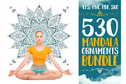 530 Vector Mandala Ornaments, an Animal Illustration by pixaroma (Thumbnail 1 of 55)