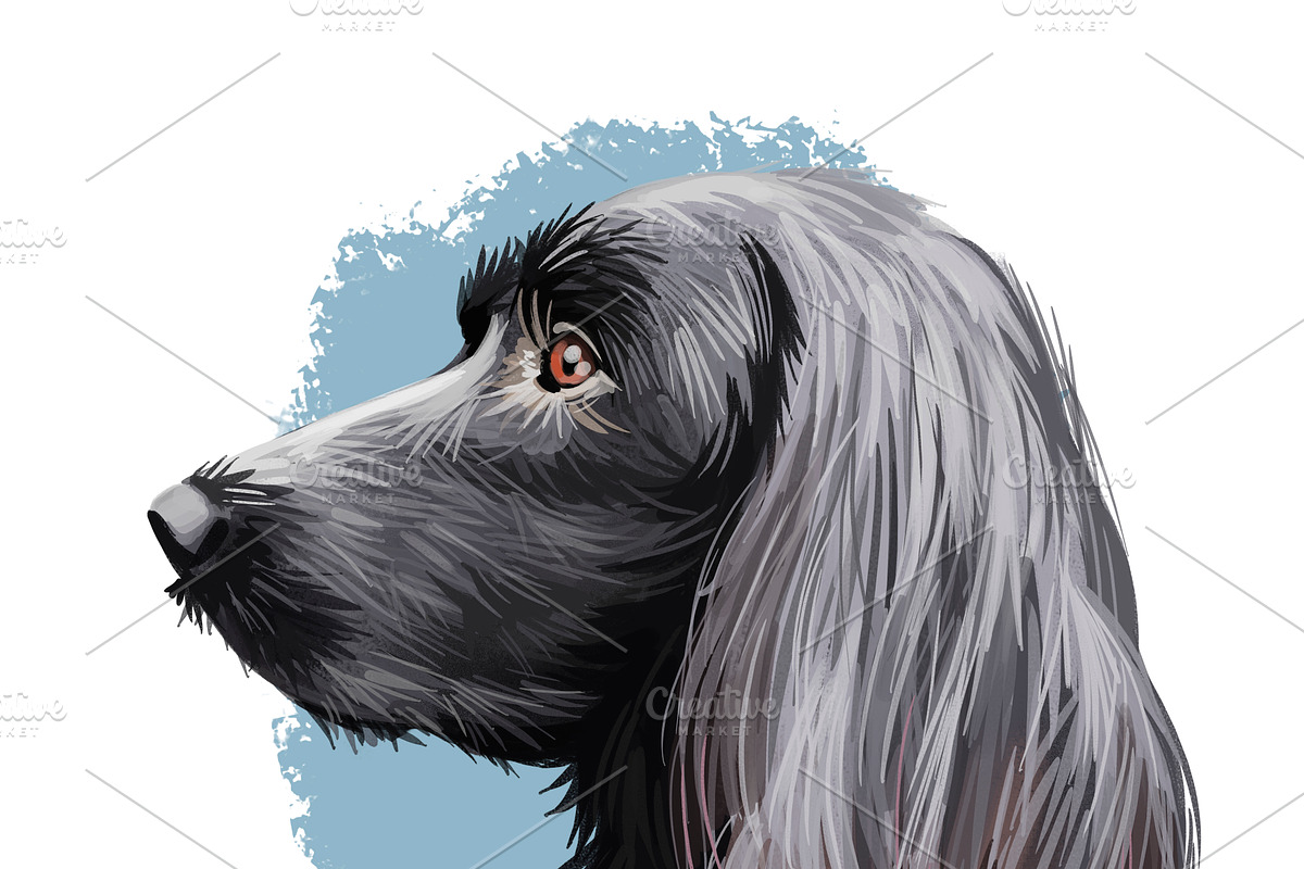 Most Popular Dog Breeds Pet Portrait, an Animal Illustration by Dneprstock (Photo 19 of 23)