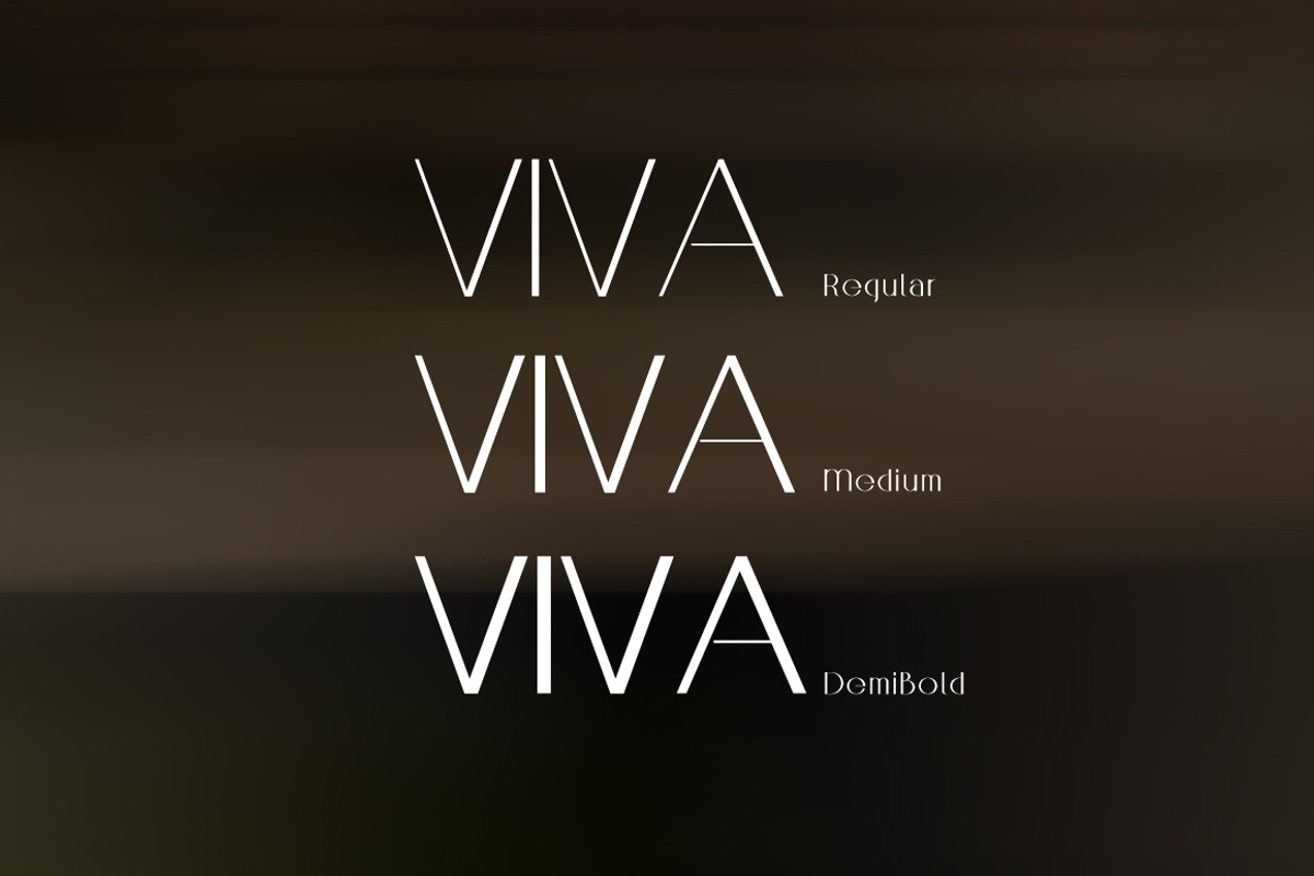 VINA TrueType Font preview 3
