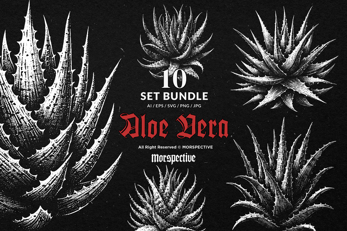 10 Bundle Dark Art Aloe Vera Cactus, an Illustration by Morspective (Photo 1 of 7)