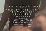 Fortela Typeface Font, a Serif Font by Storytype Studio (Thumbnail 13 of 15)
