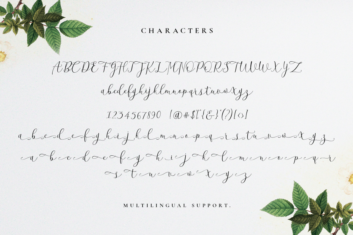 Beatisia Script, a Script Font by sizimon (Photo 6 of 6)