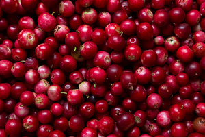 Cranberry