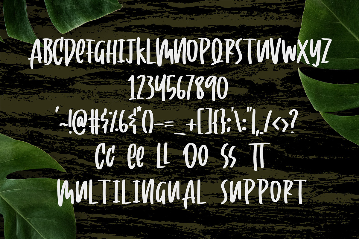 Cooless - Brush Font Duo preview 5