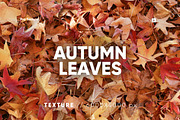 20 Autumn Leaves Texture, a Texture Graphic by CCPreset (Thumbnail 1 of 3)