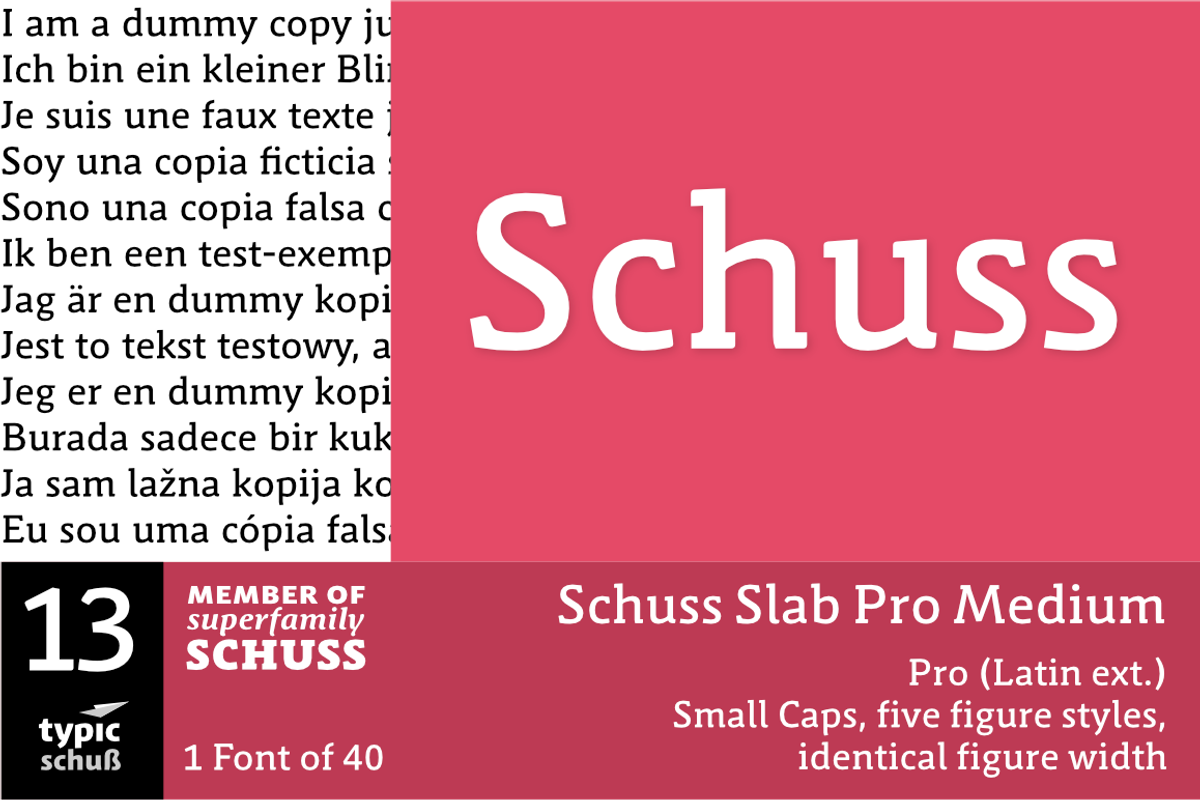 SchussSlabProMedium No.13 (1 Font)