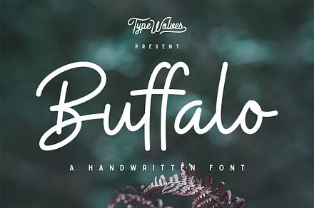 Buffalo Font, a Script Font by amtypes.